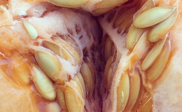 "הכל כבר כאן"