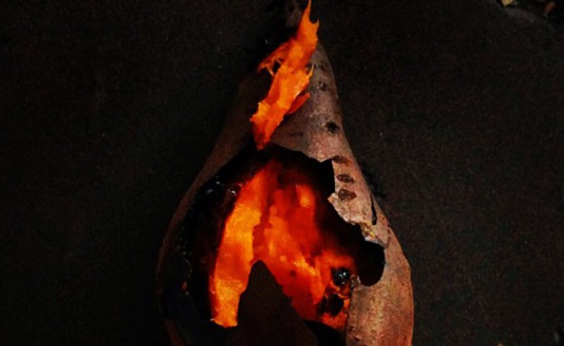 "הכל כבר כאן"