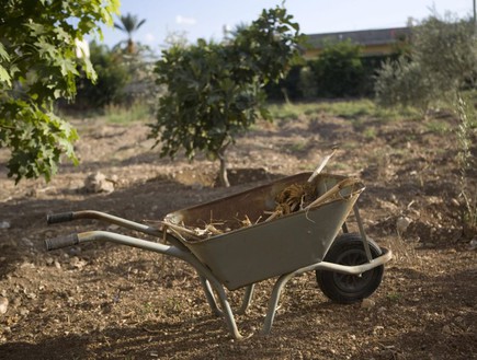 באקה אל גרבייה (צילום: תומר אפלבאום)