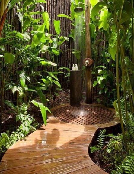 להתקלח ביערות הגשם – בלי להוציא רגל מהבית