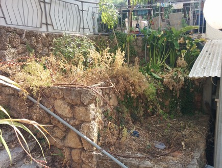 גננים, הגינה הפרטית של רז כהן (צילום: תומר ושחר צלמים)
