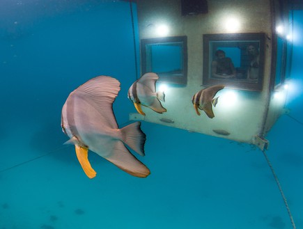מלון מתחת למים, נוף, The Manta Resort (צילום: The Manta Resort)