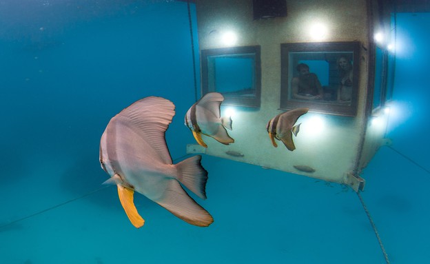 מלון מתחת למים, נוף, The Manta Resort (צילום: The Manta Resort)