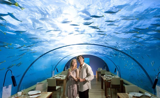 מלון מתחת מסעדה, Conrad hotel Maldives (צילום: Conrad hotel Maldives)