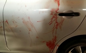 סימני ירי על מכונית בשבות רחל, אמש (צילום: סוכנות הידיעות תצפית)