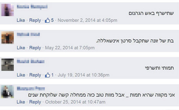 טוקבקים נגד טל גלבוע (צילום: צילום מסך Facebook)