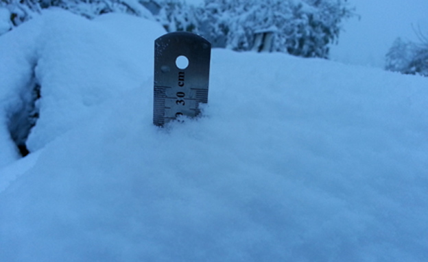 גובה השלג בדצמבר 2013 (צילום: אלעד זוהר)