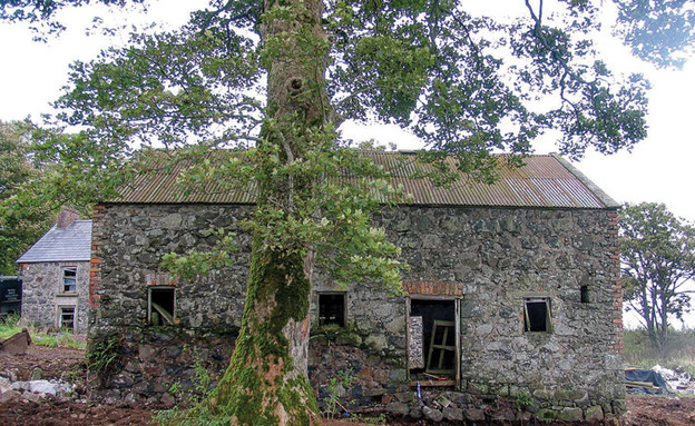 אסם באירלנד 6, ג, חלל המגורים בולט החוצה מתוך מבנה (צילום: Adam Currie)