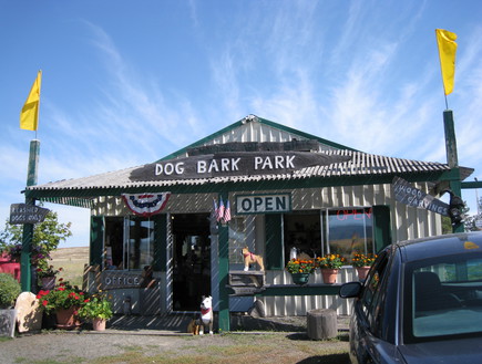 עשרים המלונות הכי טובים בעולם - מלון-dog bark park  (צילום:  http.dogbarkparkinn)