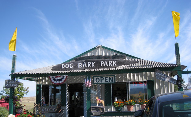 עשרים המלונות הכי טובים בעולם - מלון-dog bark park  (צילום:  http.dogbarkparkinn)