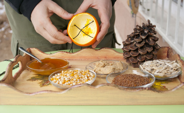 מתקן להאכלת ציפורים מתקן להאכלת ציפורים