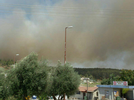 מטיליים פונו, וגם מאהל בדואי (צילום: דוברות כב