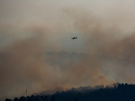 שריפת יער גדולה באזור בית שמש (צילום: Yonatan Sindel/Flash90)