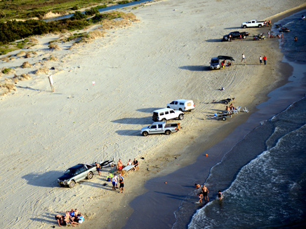 מתפרעים על החוף, ארכיון (צילום: רשות הטבע והגנים)