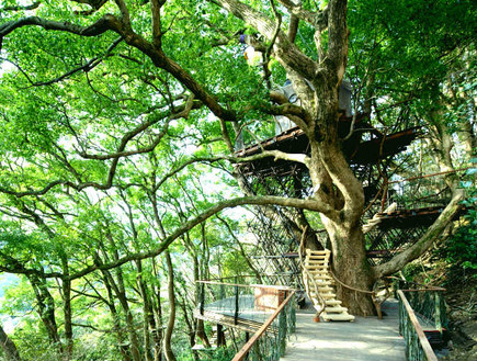 בית עץ יפן (צילום: global.hoshinoresort)