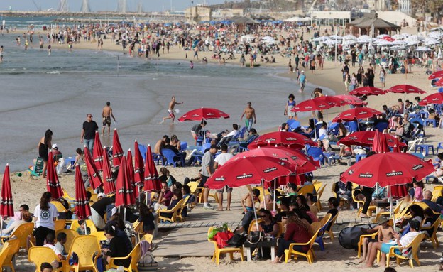 חוף תל אביב (צילום: עופר וקנין)