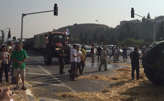 הפגנת החקלאים בצומת יקנעם, הבוקר (צילום: חדשות 2)