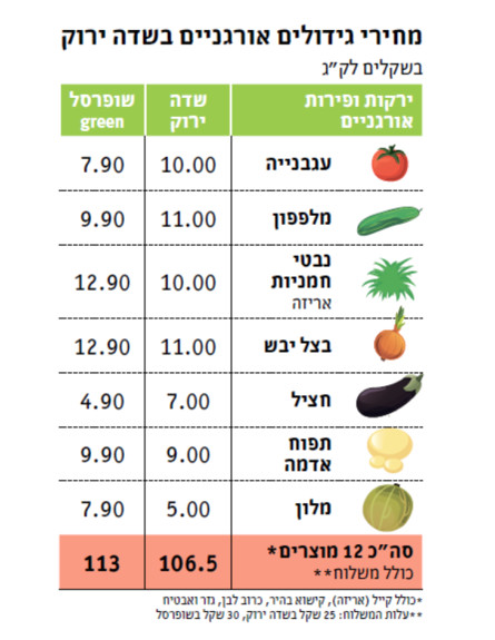 מחירי גידולים אורגניים בשדה ירוק (איור: TheMarker)