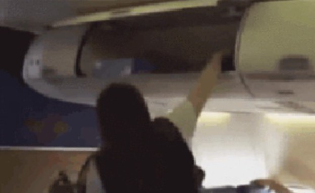 כללי התנהגות בטיסה (צילום: יוטיוב )