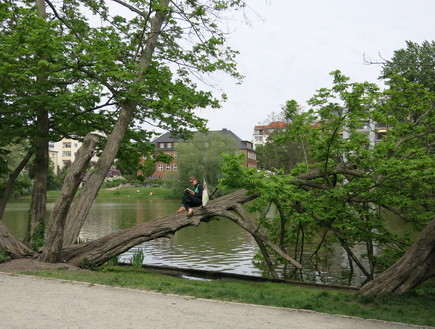 אגמים בברלין - Lietzensee אגמים בברלין - Lietzensee