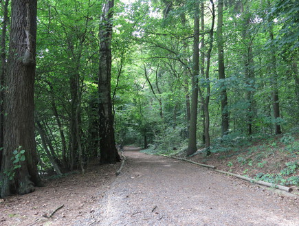 אגמים בברלין - Straussee אגמים בברלין - Straussee