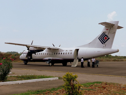 מטוס של החברה האינדונזית, ארכיון (צילום: YSSYguy at English Wikipedia)