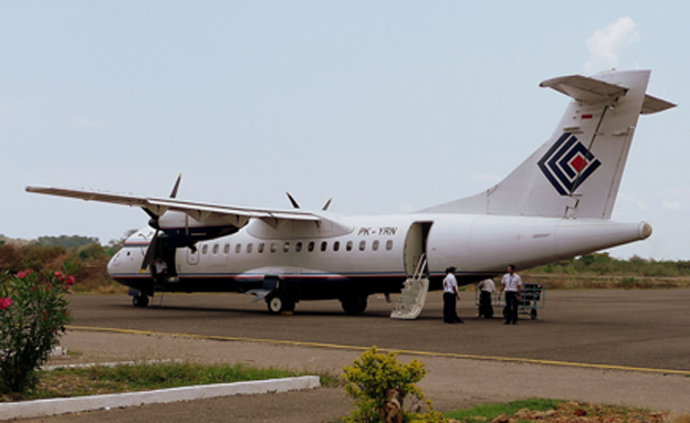 מטוס של החברה האינדונזית, ארכיון (צילום: YSSYguy at English Wikipedia)