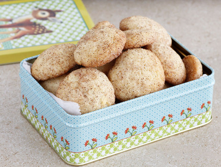 עוגיות סניקרדודלס (צילום: נטלי לוין, עוגיו.נט)