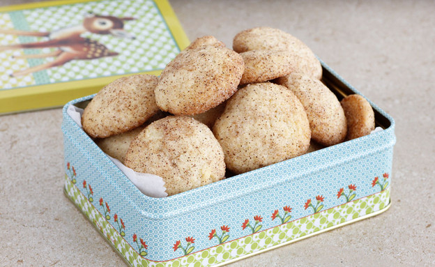 עוגיות סניקרדודלס (צילום: נטלי לוין, עוגיו.נט)