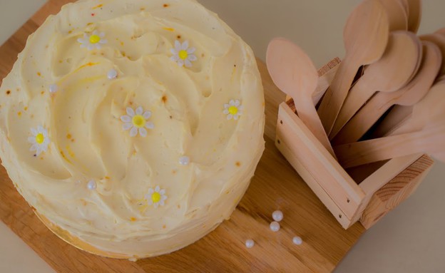 עוגות דבש מפוספסת שרון אנד רנה (צילום: ינאי רובחה)