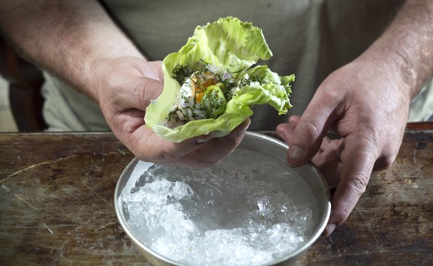 רייט דגים וביצה כבושה עטופה בחסה רייט דגים וביצה כבושה עטופה בחסה