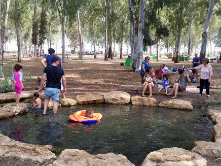 גן לאומי ירקון אפק (צילום: בהג'ת כחיל, רשות הטבע והגנים)