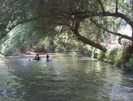 אבובים ושטים בנחל חרמון (צילום: מסלולים, ערן גל-אור​)