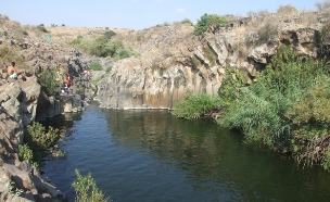 ריכות זוויתן עליון (צילום: מסלולים, ערן גל-אור​)