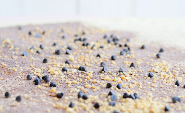 וגם את האגוזים והשוקולד צ'יפס