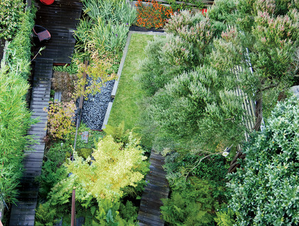 חצרות אחוריות. חצר אחורית בסן פרנסיסקו חצרות אחוריות. חצר אחורית בסן פרנסיסקו