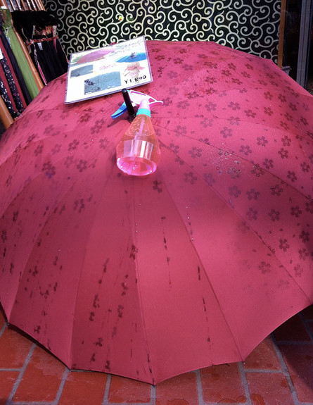 מטרייה יפנית (צילום: jonellepatrick)