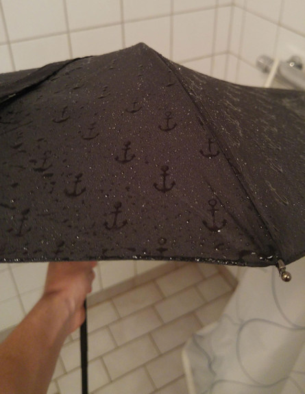 מטרייה יפנית (צילום: NilsAxelsson)
