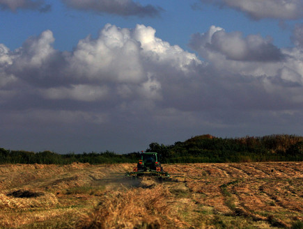 שדה חקלאי ליד הוד השרון (צילום: דיויד סילברמן, getty images)