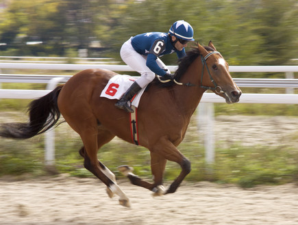 מרוץ סוסים (צילום: אימג'בנק / Thinkstock)