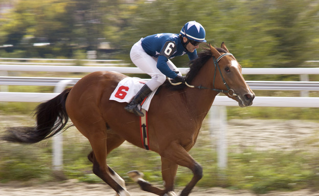 מרוץ סוסים (צילום: אימג'בנק / Thinkstock)