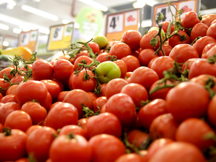 גם מחיר העגבניות יורד (צילום: חדשות 2)