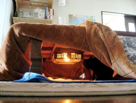 מיטה יפנית,  (צילום: מתוך הפליקר של matthew mcvickar)
