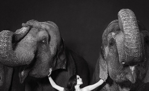 ערומה עם פילים (צילום: וונה וון זיצוויץ)