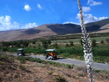 חצבים בפארק המעיינות (צילום: אשחר בצר)