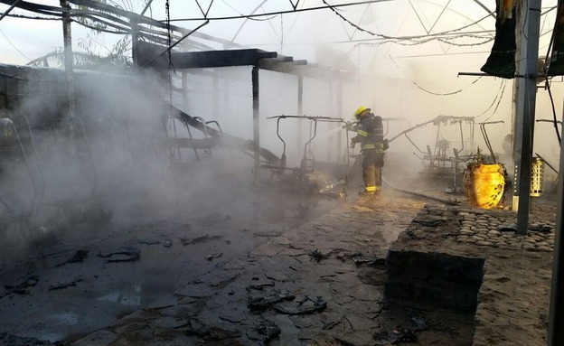 מרכז המבקרים השרוף. הבוקר (צילום: גדעון וקנין חדשות 2)