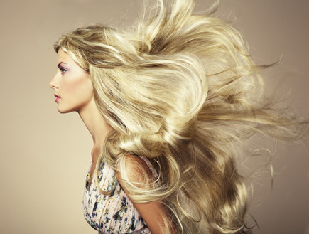 מחיה שיער בלונדיני מחיה שיער בלונדיני