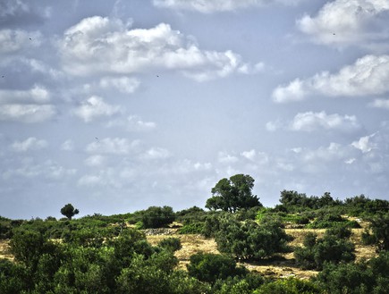 נועה פז, הנוף הקסום הנשקף מהבית. (5) (צילום: אלכסנדרה קולס ברף)