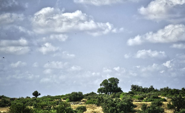 נועה פז, הנוף הקסום הנשקף מהבית. (5) (צילום: אלכסנדרה קולס ברף)