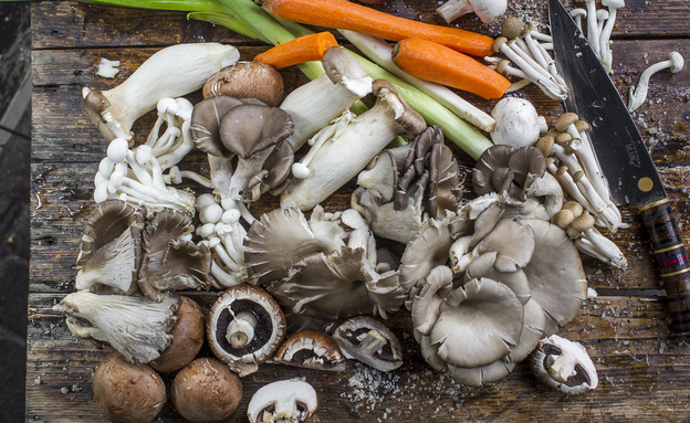 פטריות למרק - בסטה